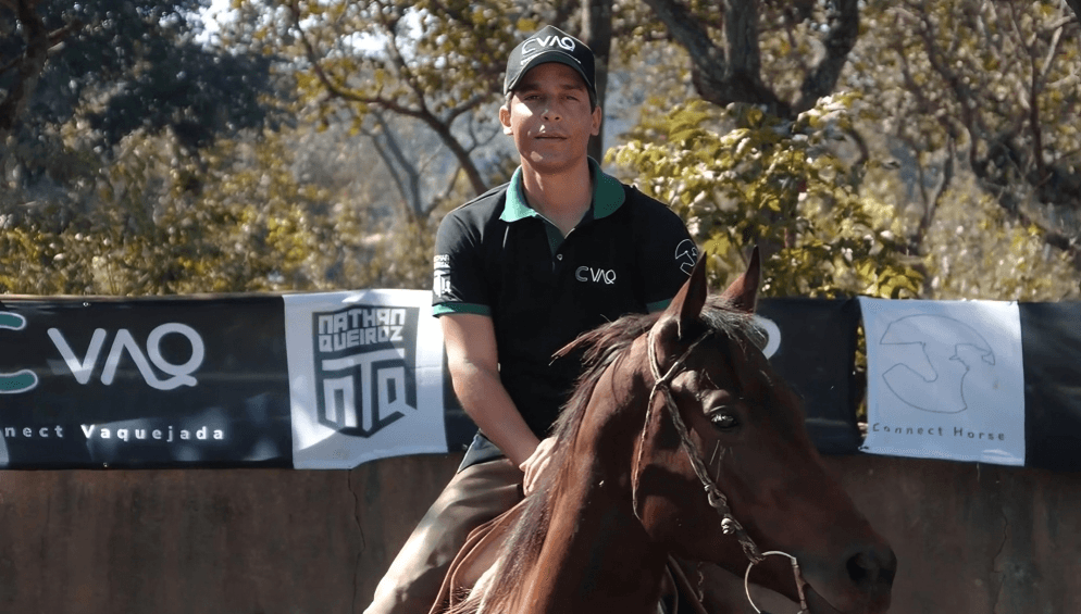 Preview Animais que Antecipam ou Roubam na Faixa