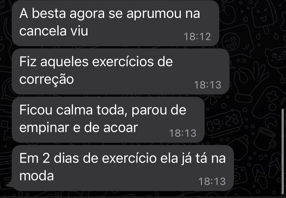 Aluno no WhatsApp: 'Em 2 dias de exercício ela já tá na moda'
